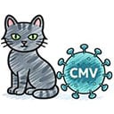 זיהומים בהריון – מה חשוב לדעת